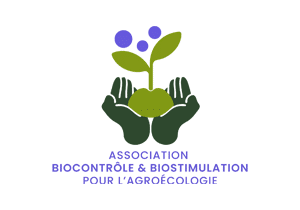 logo The crock n roll