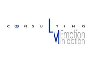 lm consulting lm consulting
